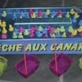 Peche aux canards